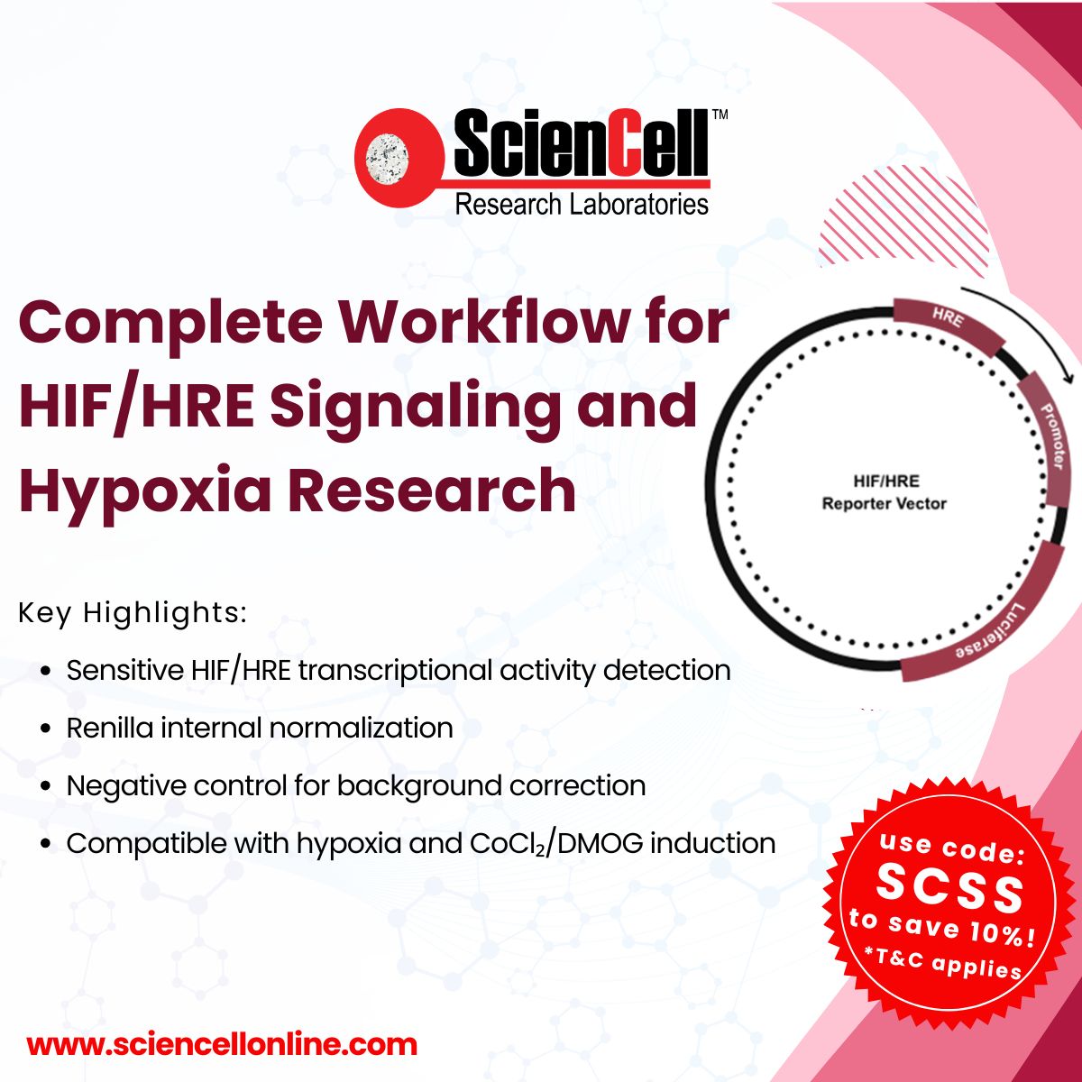 sciencell's tweet photo. Hypoxia activates HIF signaling to regulate genes involved in angiogenesis, metabolism, and cell survival. Measure HIF/HRE activity with ScienCell's HRE Dual Reporter Vector (HRDV, Cat. No. VT003) for reliable, quantitative results.

#Hypoxia #HIF #CellSignaling #StemCells https://t.co/3Sh8zno7rw
