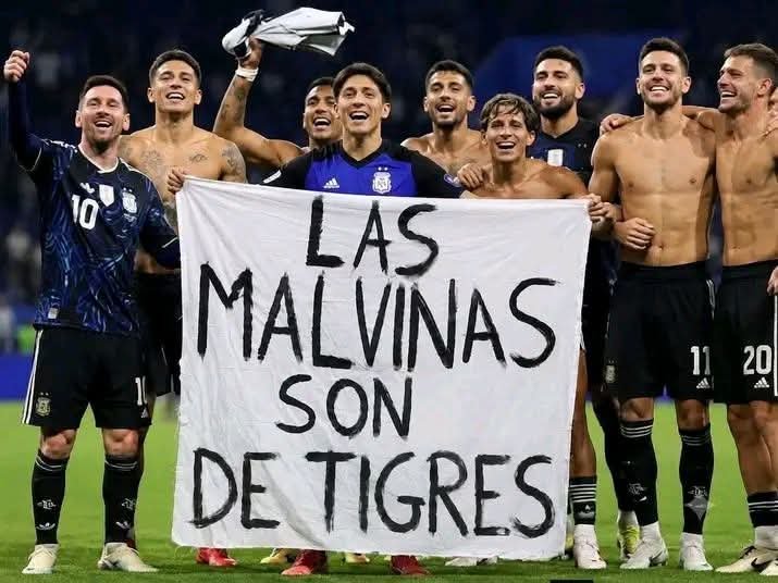 El Tigre Tr8ll ⭐⭐⭐⭐⭐⭐⭐⭐ tweet media
