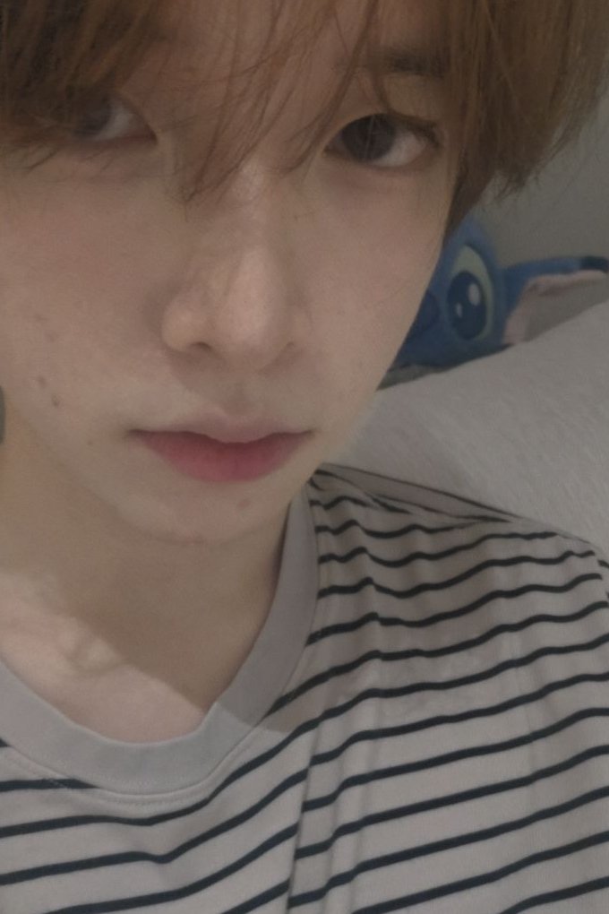 岛森树 tweet media