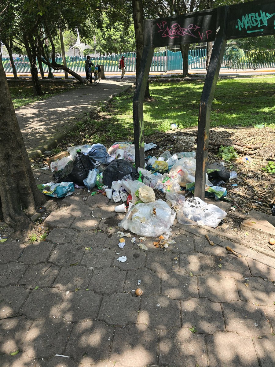 chrisalmada's tweet photo. @MHcesac Así la basura en el Jardín de la República del Líbano, a 20mts de Moliere y Campos Eliseos. Podrían recoger por favor ccp @lavozdepolanco @PolancoUnidoAC https://t.co/38WaiyQzsZ