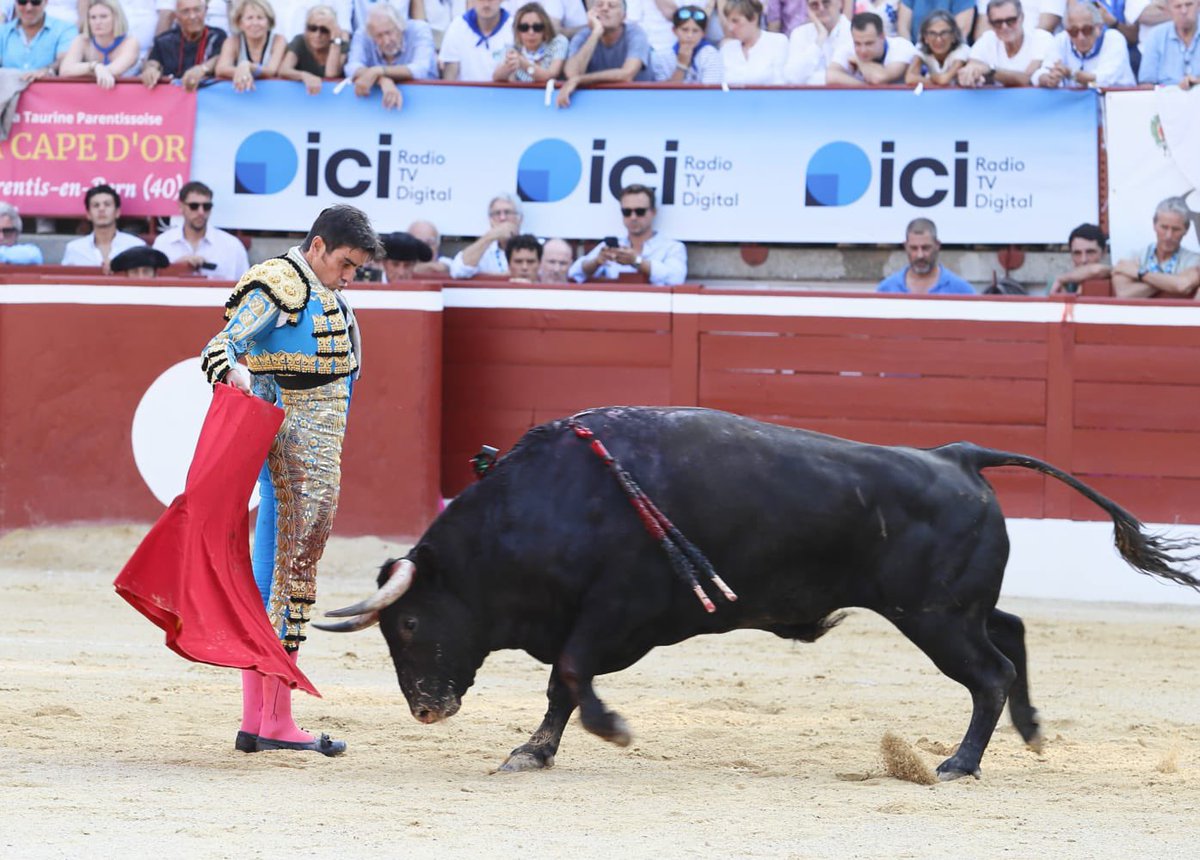 InfoMAPerera's tweet photo. 𝗣𝗮𝗹𝗺𝗮𝘀|| En el primero de la tarde en 📍Mont de Marsan. Un toro justo de fuerza con el que hubo momentos muy buenos por el pitón derecho.

¡A por el cuarto! 🦾

#perera #pasión https://t.co/RvafUa0G6T