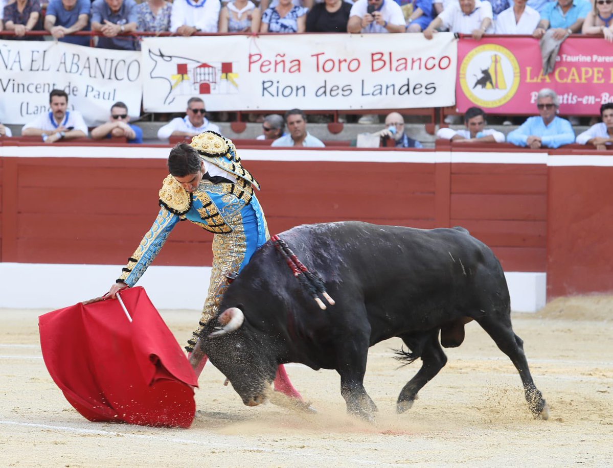 InfoMAPerera's tweet photo. 𝗣𝗮𝗹𝗺𝗮𝘀|| En el primero de la tarde en 📍Mont de Marsan. Un toro justo de fuerza con el que hubo momentos muy buenos por el pitón derecho.

¡A por el cuarto! 🦾

#perera #pasión https://t.co/RvafUa0G6T