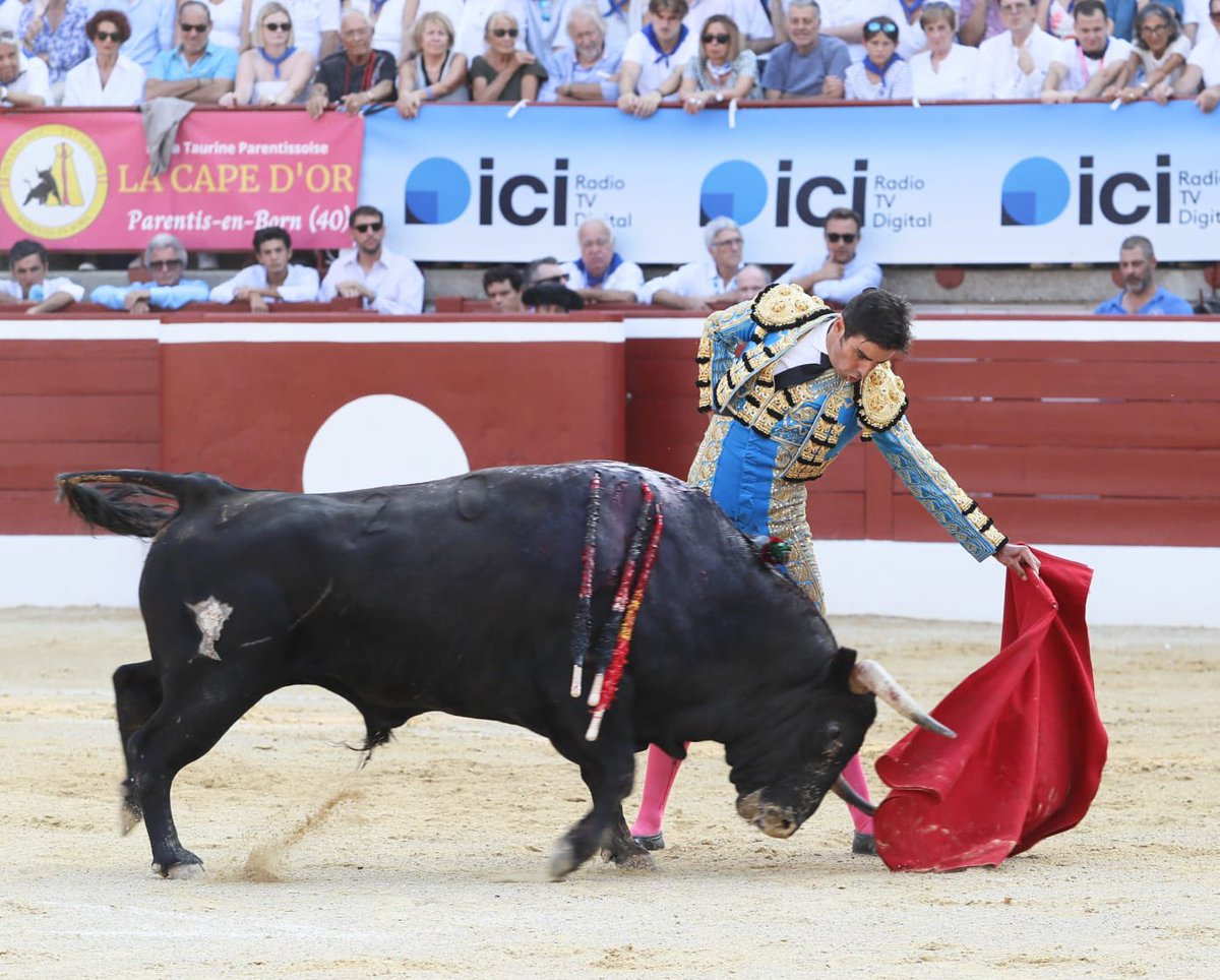 InfoMAPerera's tweet photo. 𝗣𝗮𝗹𝗺𝗮𝘀|| En el primero de la tarde en 📍Mont de Marsan. Un toro justo de fuerza con el que hubo momentos muy buenos por el pitón derecho.

¡A por el cuarto! 🦾

#perera #pasión https://t.co/RvafUa0G6T