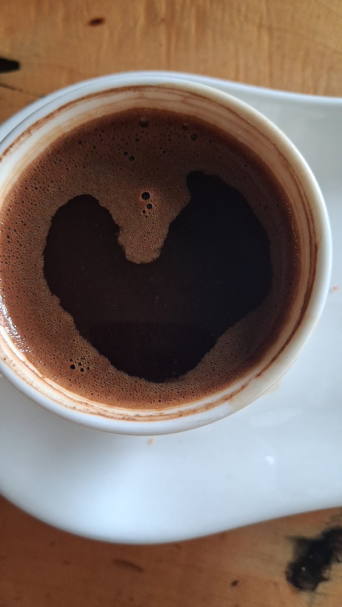 HaticeSili's tweet photo. Bugünün en güzel tevafukları🤎🌱 https://t.co/ddbMZPSTdt