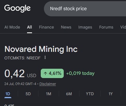 thornbllac's tweet photo. The first NRED move may already be forming. A $0.019 daily gain pushed NRED to $0.42. The opportunity is early, not guaranteed.

#teenager #StockAlert $MU https://t.co/Plup3Vtmu7