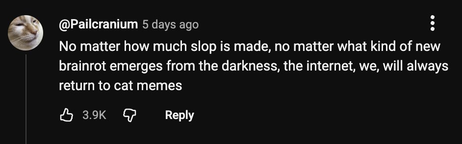 DamDamMeme's tweet photo. "No matter how much slop is made, no matter what kind of new brainrot emerges from the darkness, the internet, we, will always return to cat memes" solana:CVdByCD7SLsj2Kv7UAqGyNJgSVc4Nvd8qdL2U1shpump https://t.co/En3bUJu17m