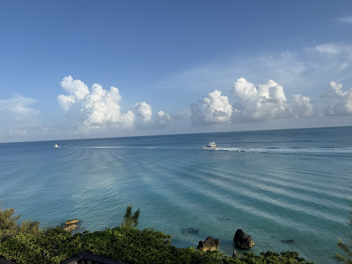 JonoBrady's tweet photo. 🇧🇲 🏝️ https://t.co/Trq3ZZimOe