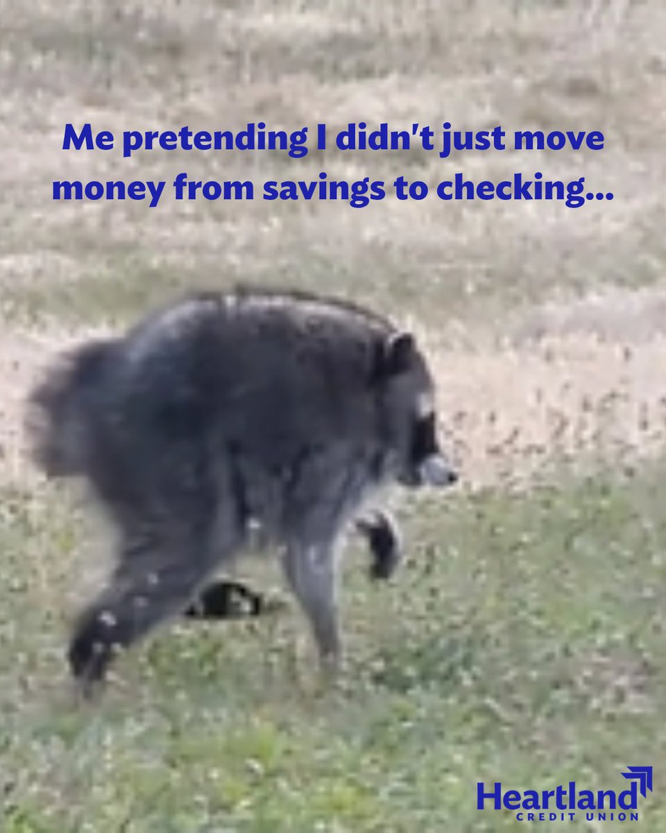heartlandcu's tweet photo. It was just a temporary loan... right? π¦π
#jimothy #creditunion #funatwork #meme https://t.co/yGWZ6IzFTP