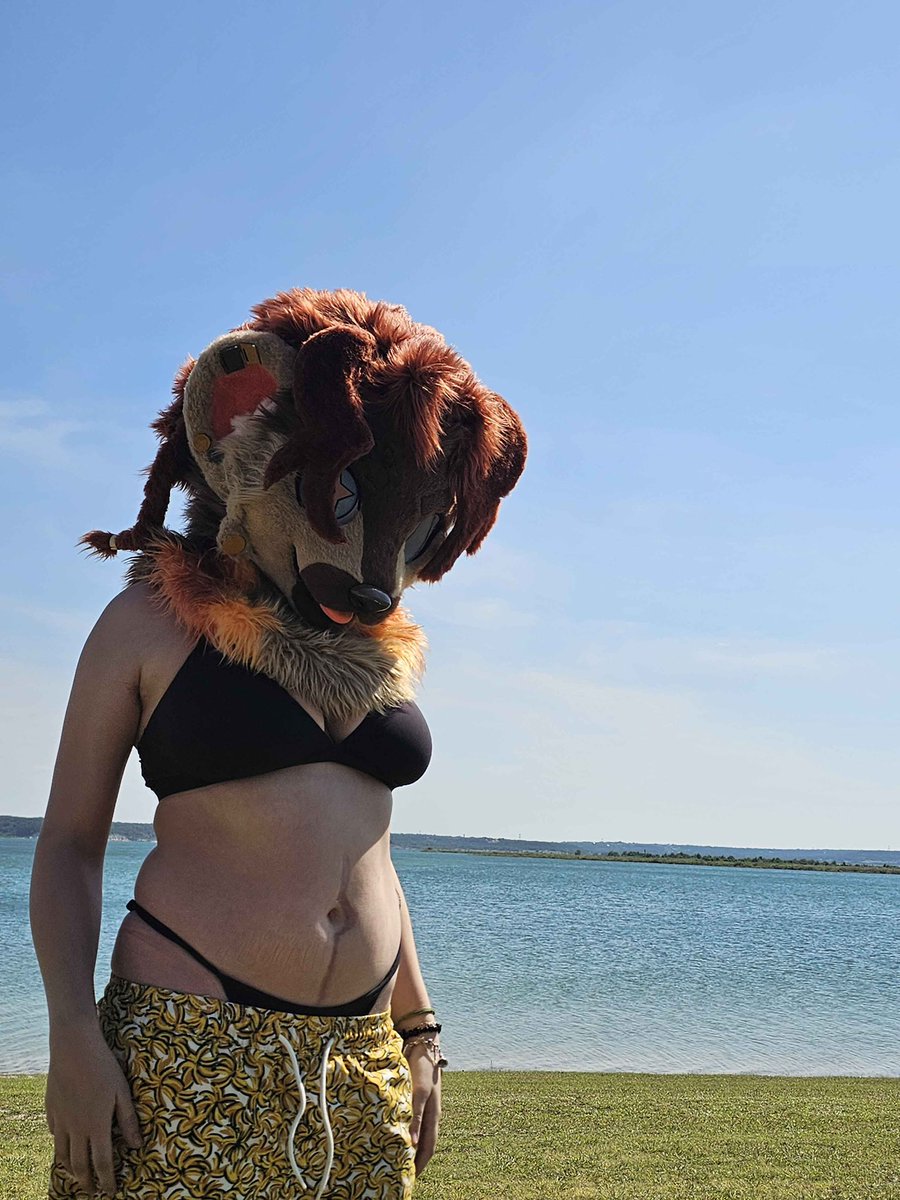 thisb0igr0wlz's tweet photo. happy #fursuitfriday friday from the lake ⛅️🐟￼🌞 https://t.co/ENnD75ZWWg