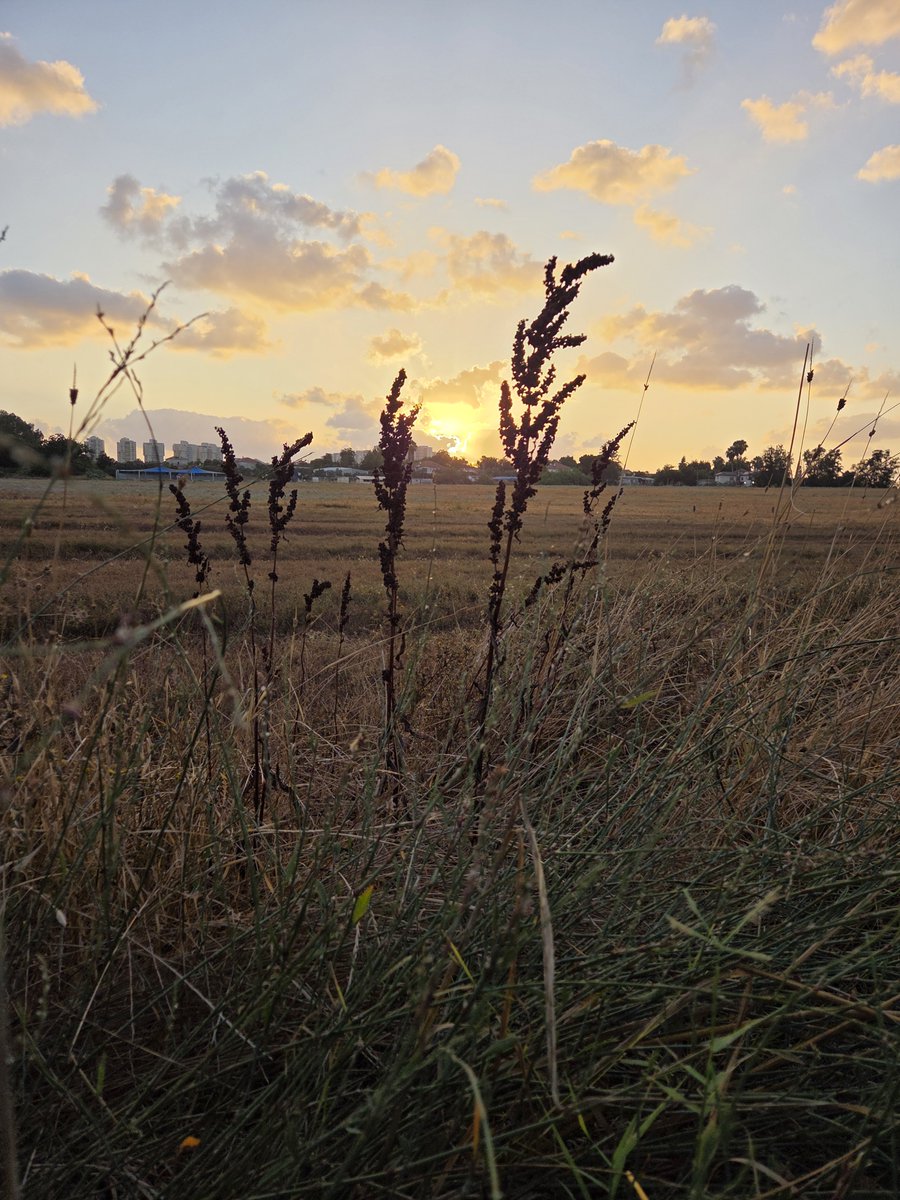 ISRTOURS's tweet photo. במידה והשקט יופר וטיסות תבוטלנה, אנחנו בחברת אהלן אולימפוס נוסיף לעמוד לרשותכם ולספק שרותי העברות יעילים לשדות התעופה בירדן ובסיני על בסיס פרטי. כמובן שאנו מספקים שרות ללא תחרות, כיאה לחברת תיירות ותיקה ומנוסה בתיירות אזורית חוצת גבולות.  הזמנות ומידע במייל Kfir@ahalan.co.il https://t.co/kTV4JBfNvc