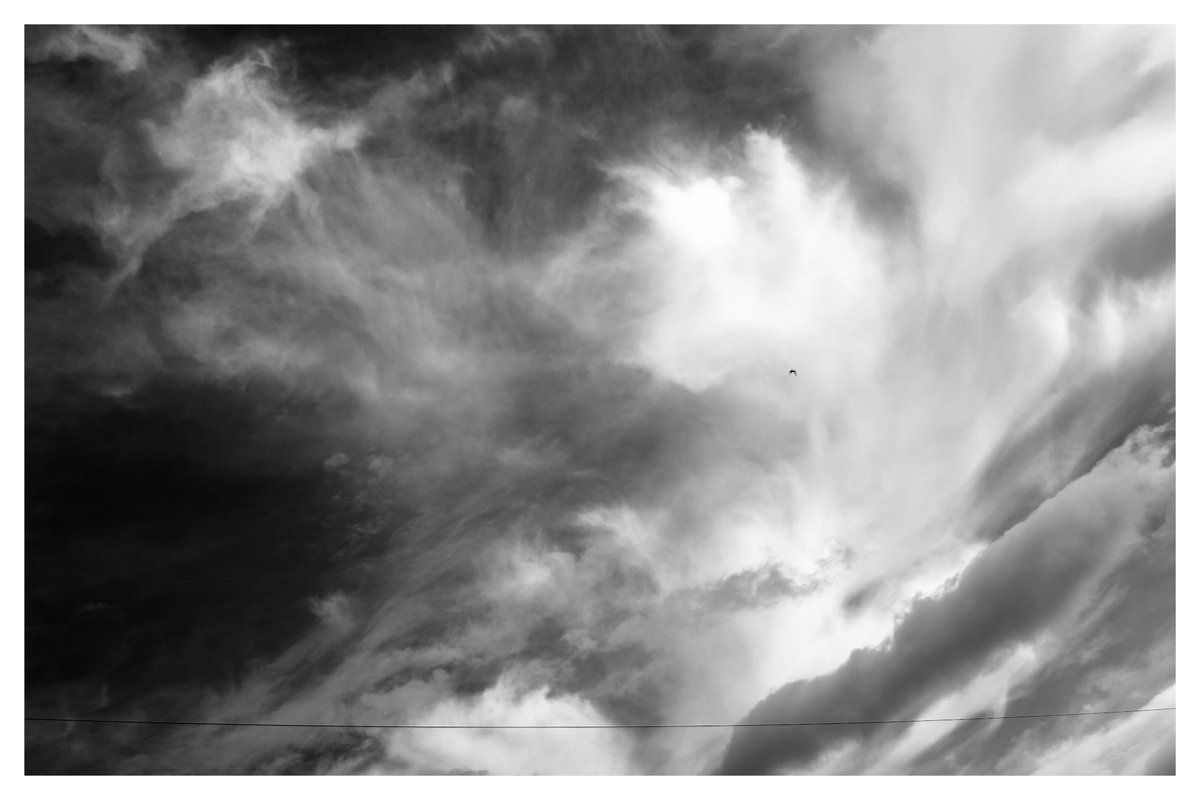 Particleclouds's tweet photo. Close encounters with galactic information Contemporary Photography SETI Optical Search, 2026 Robert A. Ireland Contemporary Photography Art #雲 #NASA #Photography Moving images in the stream of charged particles. Earth travels more than 1.6 million miles per day ぜひコメントを残してください (^_^) 💯📷