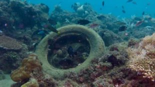 meneame_net's tweet photo. Un plan de los años 70 para crear vida marina con neumáticos terminó siendo un desastre ambiental: 56 años después todavía quedan más de 500.000 en el fondo del mar https://t.co/x24cKrsEeD https://t.co/bUsqwKrvIH