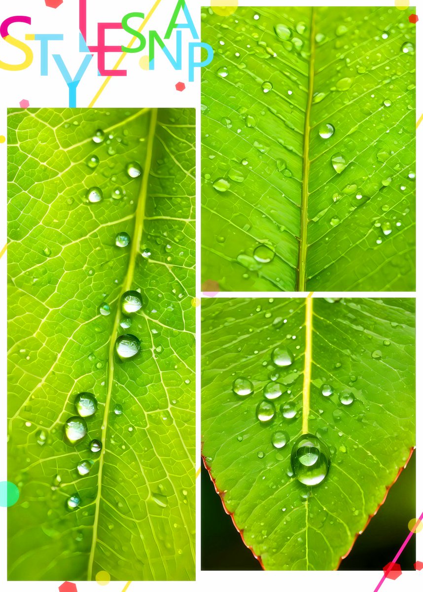 deelmoliz's tweet photo. Small daily steps = big health wins! Add 10 minutes of walking to your routine today, stay hydrated and sleep 7 hours to boost your energy and mood. Prioritize your well-being one day at a time.， https://t.co/bQKRqD2ZTr