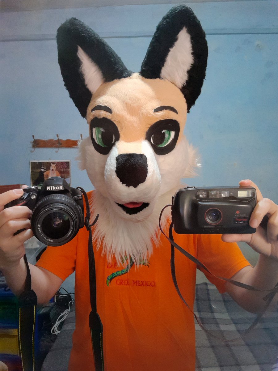 JoseLaines44's tweet photo. Este #FursuitFriday está dedicado a una de mis actividades favoritas: la fotografía. 📷😊

Aún conservo esta cámara de rollo de la década de los 90, fue la que despertó mi interés por la fotografía y con ella tomé mis primeras fotos cuando era niño. ❤️ https://t.co/xSQdftpfIT