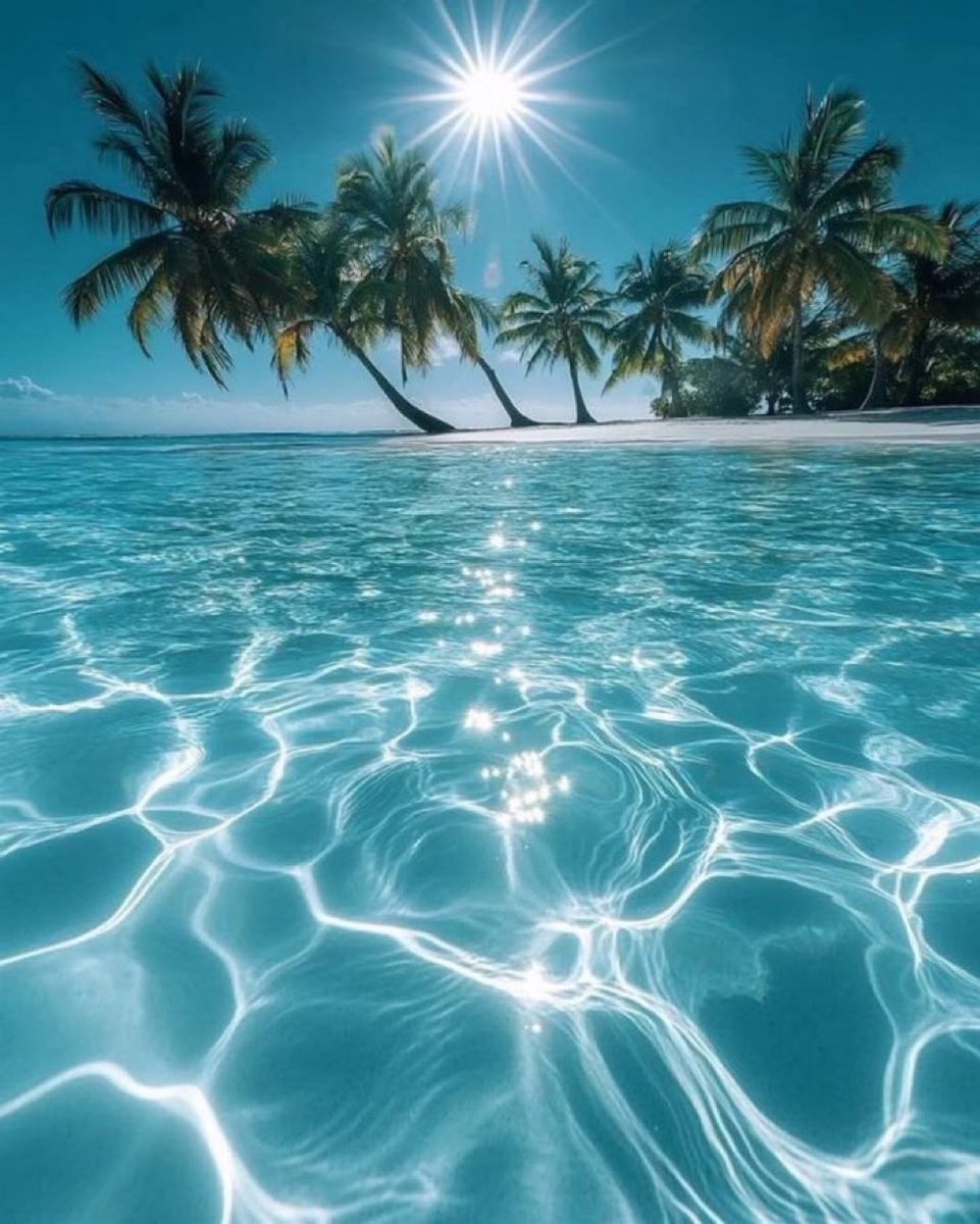 Naturezonebstz's tweet photo. Maldives 🇲🇻 https://t.co/pAYWbAnOpb
