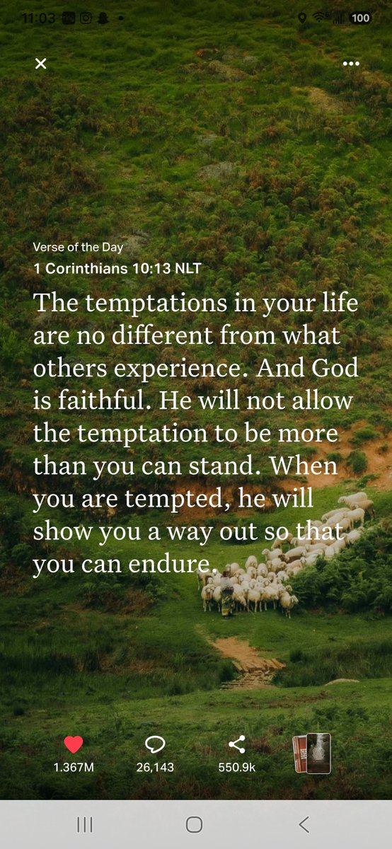 RitchieRitch111's tweet photo. Have a Blessed Day Everyone 🙏 https://t.co/aUmIlEB5aC