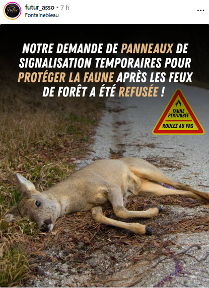ChasseAbolition's tweet photo. À  la suite des violents incendies de forêt à #Fontainebleau et suite à de  nombreux signalements, notre asso a demandé la mise en place de  panneaux de signalisation temporaires afin de protéger la faune sauvage ...
https://t.co/viydZy8LxC https://t.co/kEQDv3q9c1