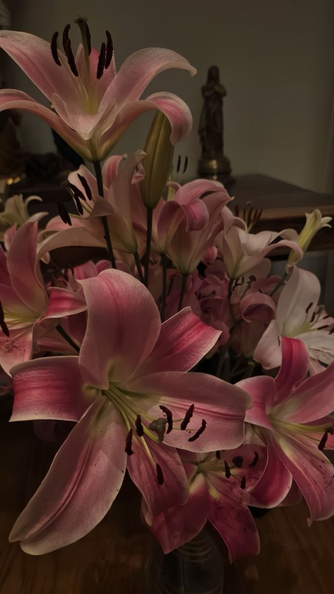 flowersplanettt's tweet photo. https://t.co/moFlOe8BBT