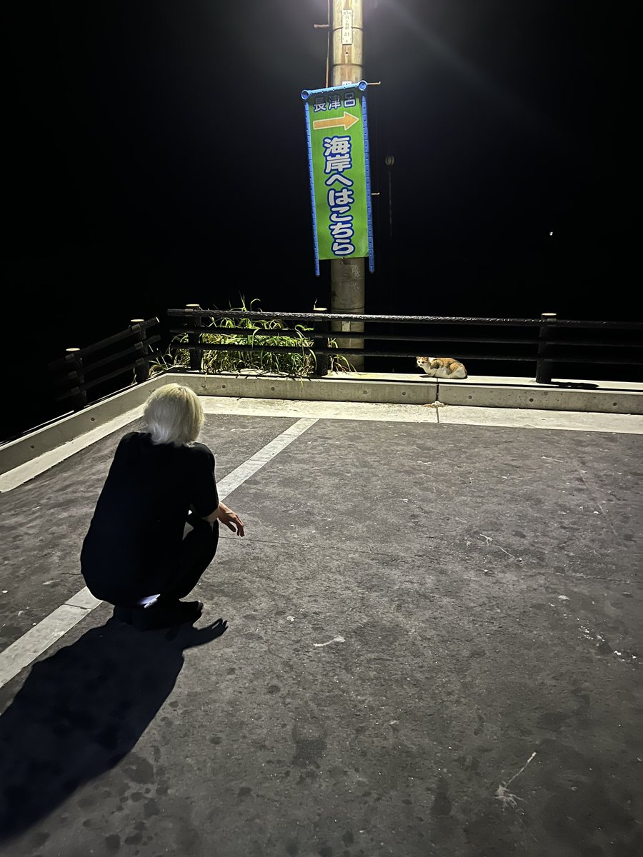 Sahamayaaaa's tweet photo. この金髪は猫ガイド https://t.co/LIiIRsWFwD