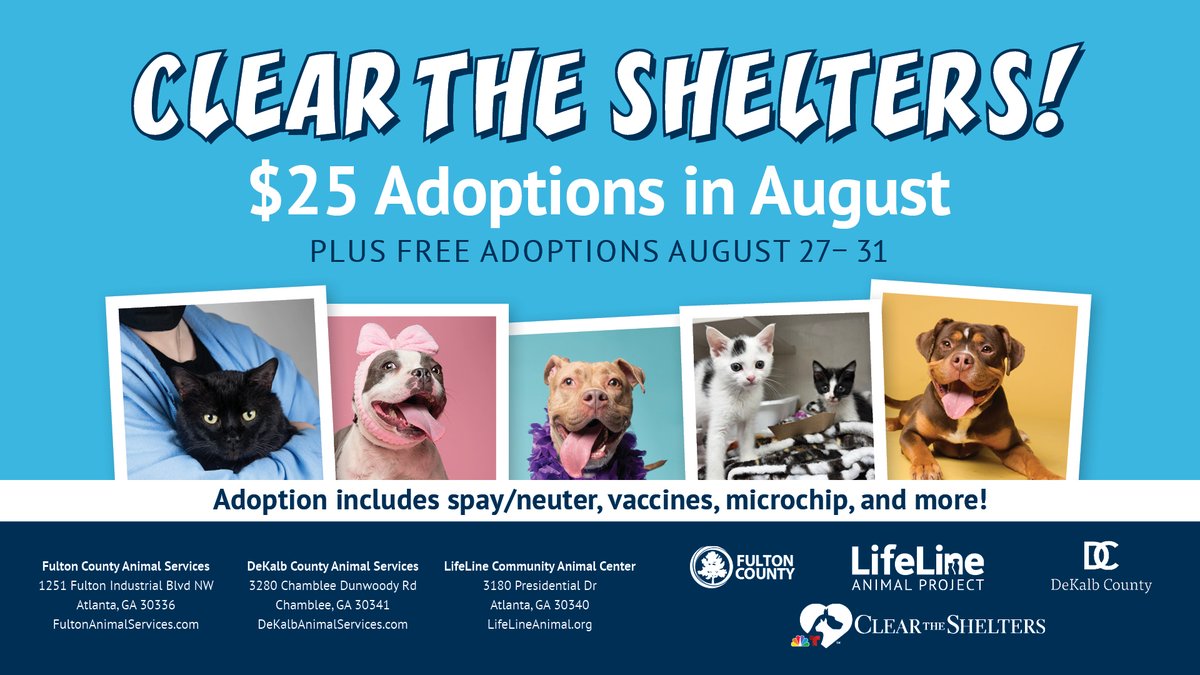 lifelineanimal's tweet photo. 🐾 Tomorrow, it begins!
LifeLine kicks off our biggest #CleartheShelters campaign yet with one ambitious goal: help save 2,000 lives this August.
Adopt any dog or cat for just $25 — spay/neuter, essential vaccines and microchip included.
Your new best friend is waiting. ❤️ https://t.co/L1IAzV8ULz