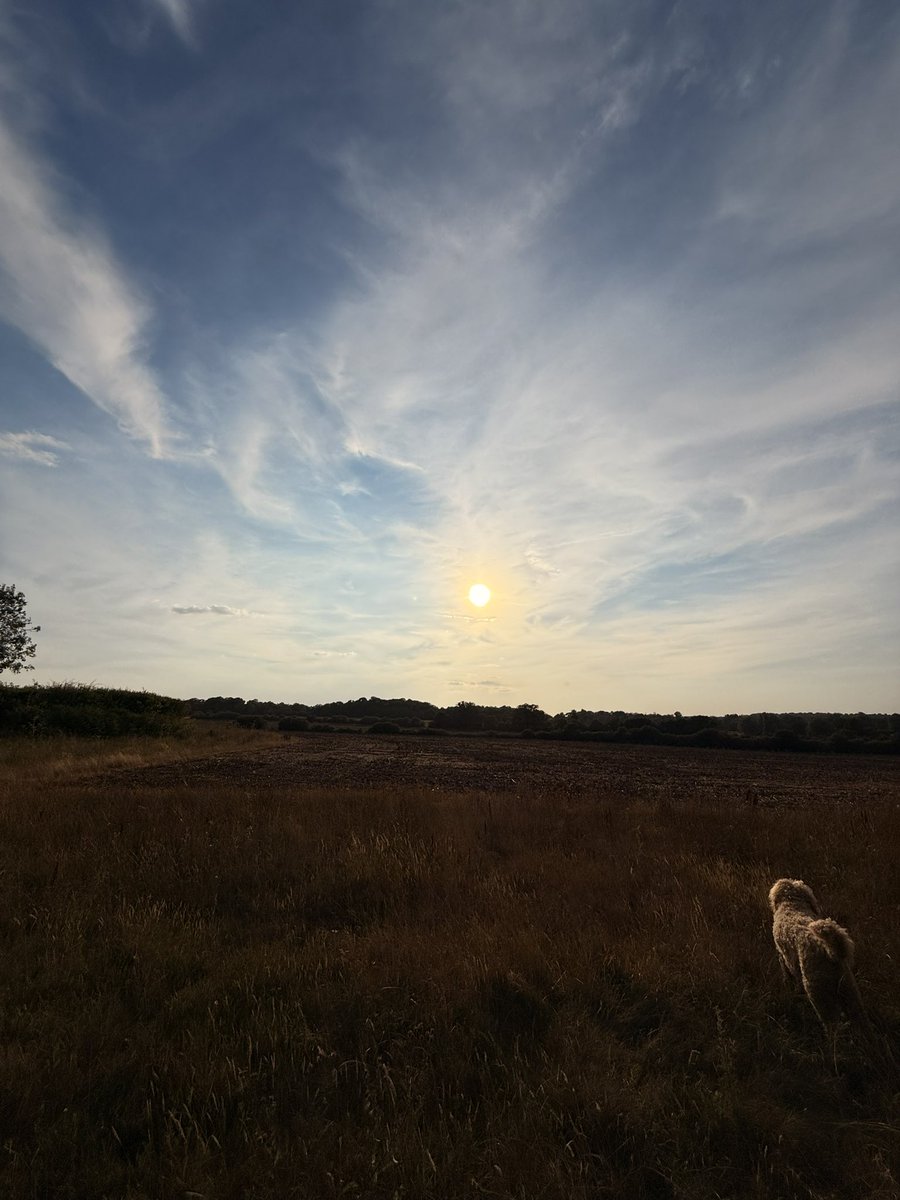 mrgholmes's tweet photo. out with the hound

#TheSticks https://t.co/7nFcbXzD0A
