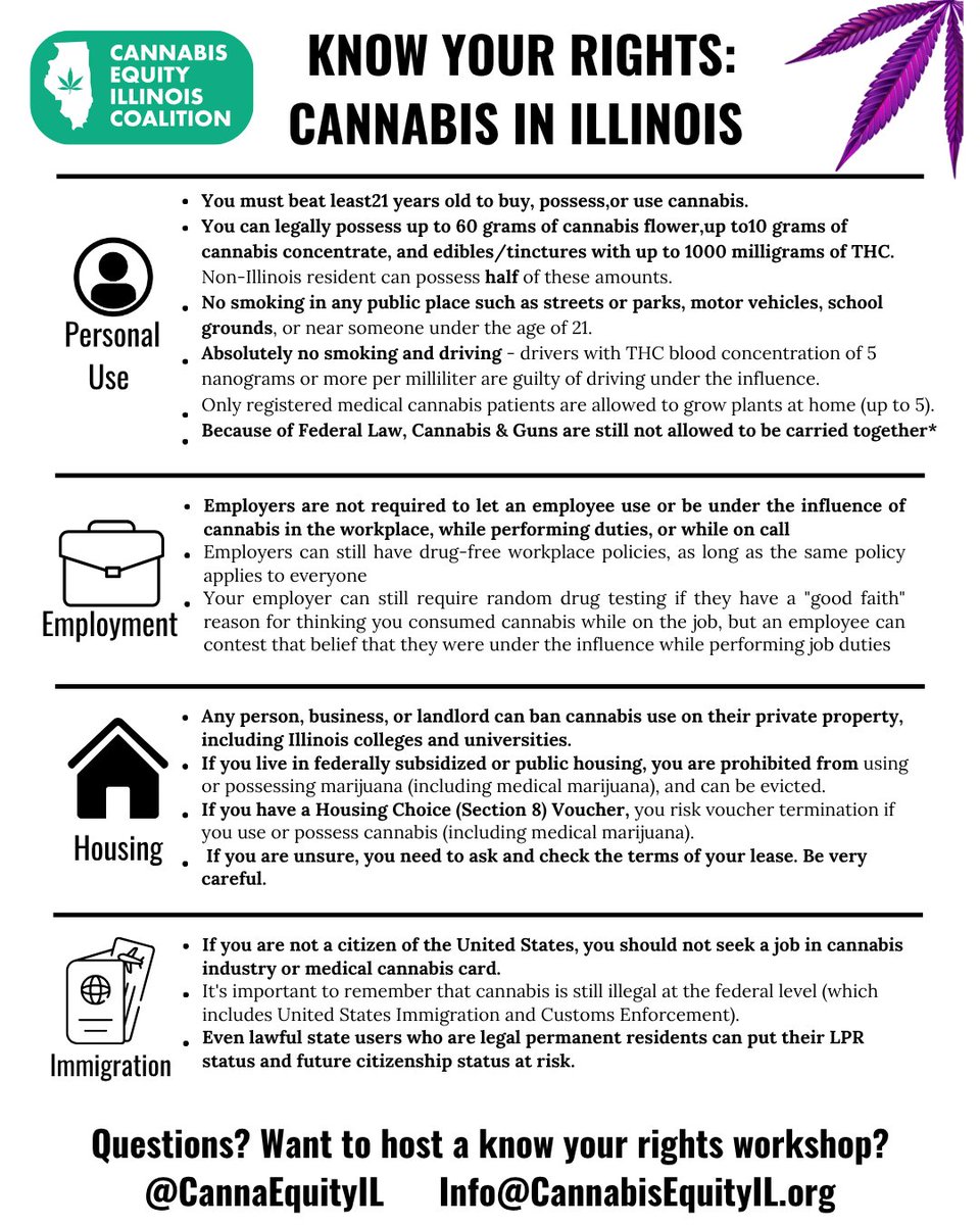 CannaEquityIL's tweet photo. Illinois, let's have a safe summer! 🌞
Cannabis arrests are increasing across the state, and everyone deserves to know their rights.

If you'd like to host a Know Your Rights event or have questions, send us a DM or email. https://t.co/F58oxKacnP