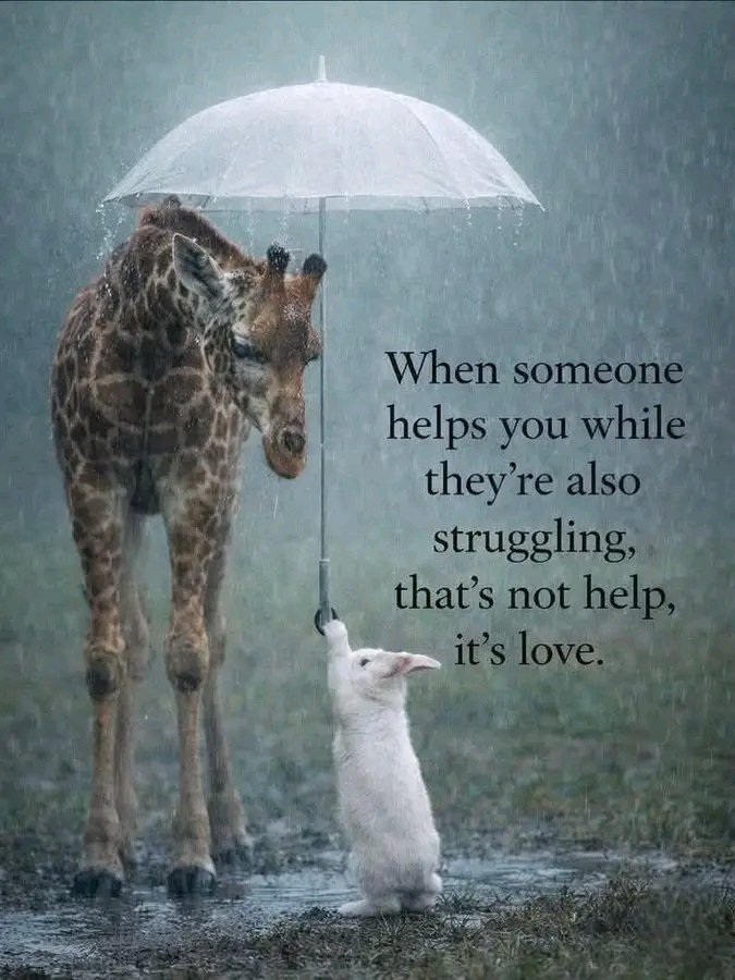 mgeodrey's tweet photo. True love is expressed even in situations not worth. https://t.co/J5EoWjE00f