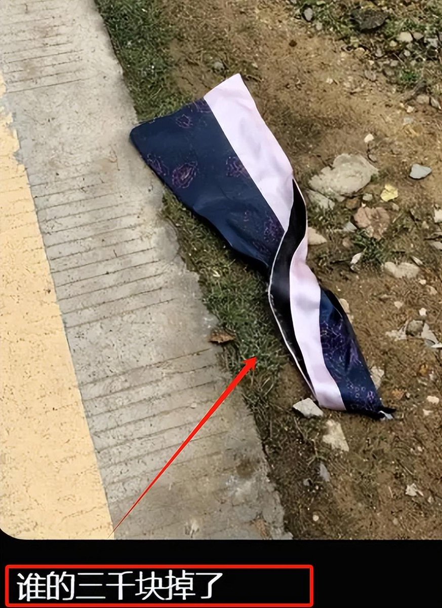 AlfLu14's tweet photo. [四年前挤在食堂抢糖醋排骨的伙伴，昨天抱着学士服笑出泪，我们把青春最亮的一页，按在毕业证上留了影]， https://t.co/lqLoS6D6pY