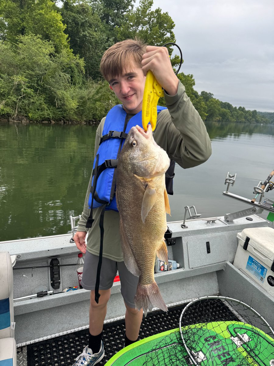 Capt_Billy_TN's tweet photo. Another awesome multi-species trip this morning! We had plenty of action, lost a big one, and even had a snake try to board the boat! 😄 We ended up boating 5 different species, including some respectable largemouth bass. Great morning of fishing! #guidelife #multispeciesfishing https://t.co/hhArWK9m9y