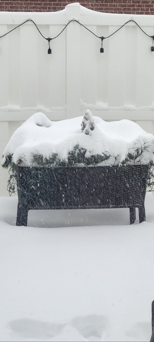 naturemccurdy's tweet photo. 6 months ago today, a major winter storm was just getting underway. I measured a grand total 11.75" in Westfield.

Last winter brought a few notable snow events, with 30 inches of total snowfall—the most we've seen in 11 years. https://t.co/AmaX4IQu0q