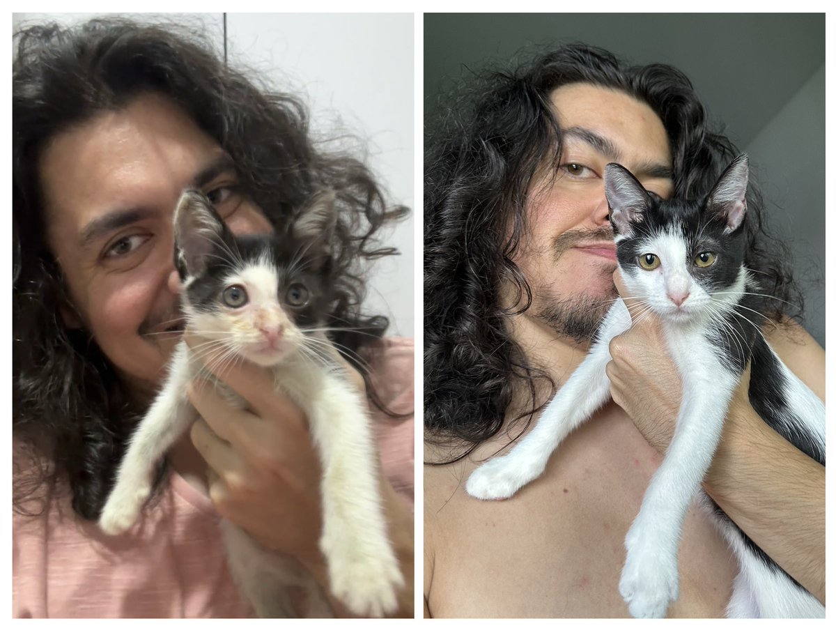César Favacho ~ Inseto e outros bichinhos 🐜🦗🪲🪳 tweet media