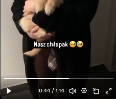 kukoldystan's tweet photo. @BiaaMapa2 @maciej_je Jest w 0:44 napisane "Nasz chłopak" https://t.co/A9RUqL917k