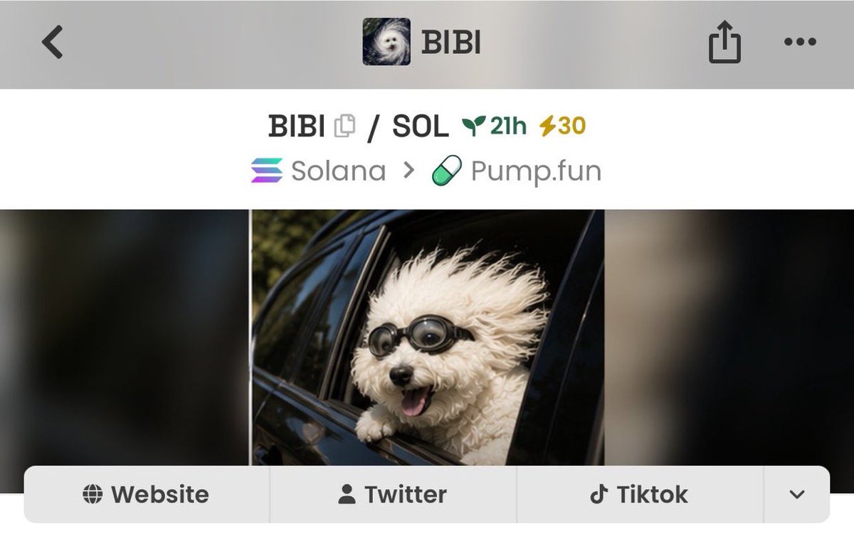 AnsemTribe's tweet photo. The $BIBI community is absolutely unhinged—and that’s exactly why it’s impossible to ignore.

• Memes never stop
• The community never sleeps
• The energy is pure chaos in the best way possible

This is what crypto is all about: community first, fun second, and vibes that can’t be manufactured.

CA: FQuPLDQDpzvjBkCuuKCEYHaZeyHsCov1YB5NTEDSpump

I'm keeping a close eye on #BIBI 👀🚀