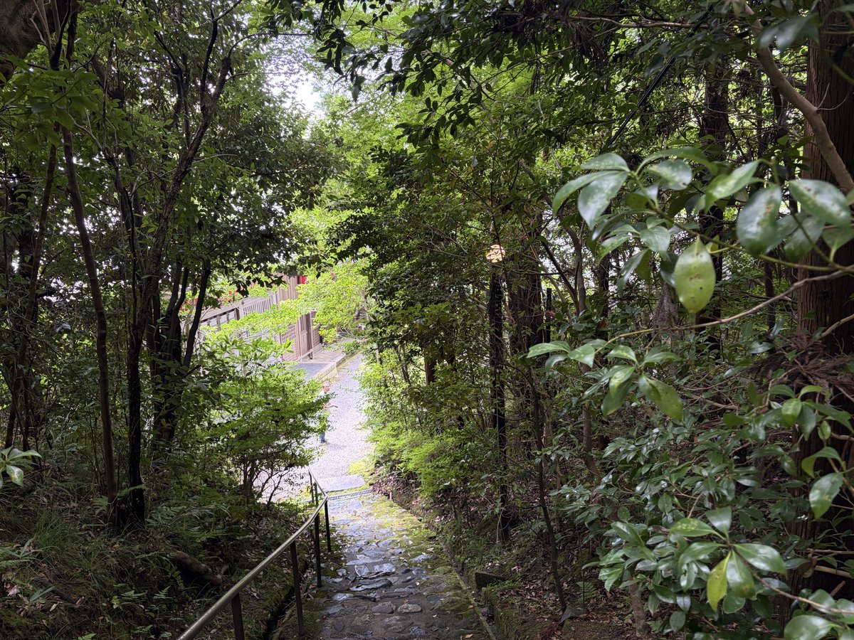 otozie's tweet photo. 先週、訪れた京都、赤山禅院。市内で、三連休の真ん中なのに、他の参拝客は誰もいなかった。
京都の湿った夏を満喫した。 https://t.co/JbFLMjpzna