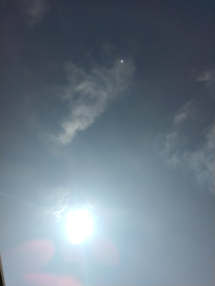 ka_fuk_k's tweet photo. おはようございます☀
週末もよろしくでーす https://t.co/GCwgbU20VG