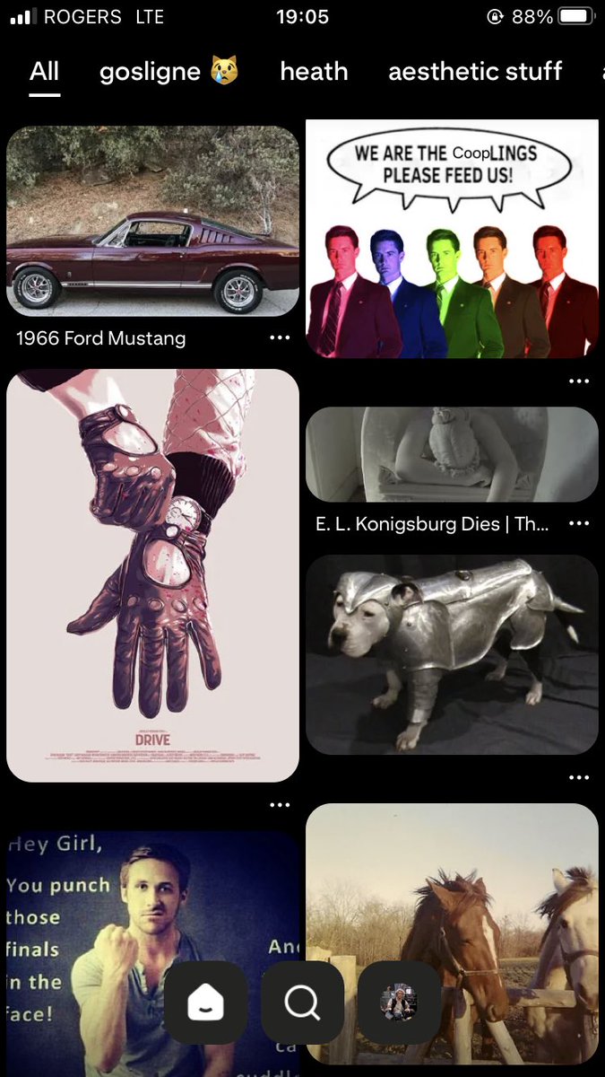 dykelandgrace's tweet photo. lockscreen (i have a rotation of like 15 but this is the one rn)
homescreen
pinterest
last song https://t.co/JRlnFzCjE7