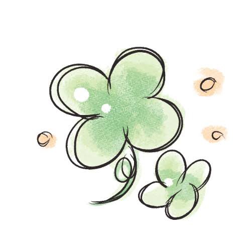 黒葉 颯斗@準備中 tweet media