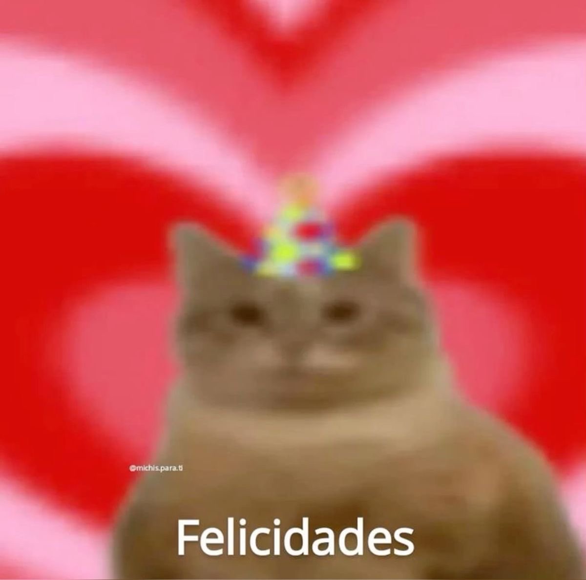 ggkukek's tweet photo. @imtaecito FELIZ CUMPLE NEN https://t.co/mrqi5QWlbe