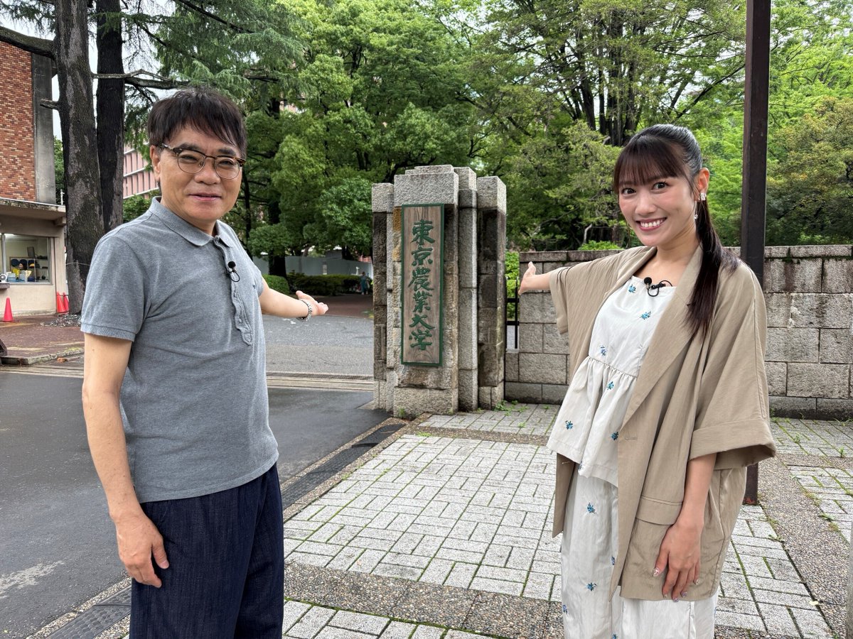 tvasahi_cs's tweet photo. 【ch1】遂に今夜7時～
＼🎊新番組 #ももクロchant！初回放送🎊／

「chant＝チャント＝応援歌」という意味📢
世の中にまだ広く知られていない
“日本のすごいモノ”“未来を変えるかもしれないモノ”を
見つけていく「笑いと学びの新感覚バラエティー」
ロケゲスト #いとうせいこう‼
果たしてどんな番組に⁉

スカパー！なら手続き完了後「最短30分」ほどで視聴可能です📺 
💁🏻‍♀️https://t.co/efndX8J4FK
#ももクロ #MCZ #ももクロchant @seikoito @tsukajimuga