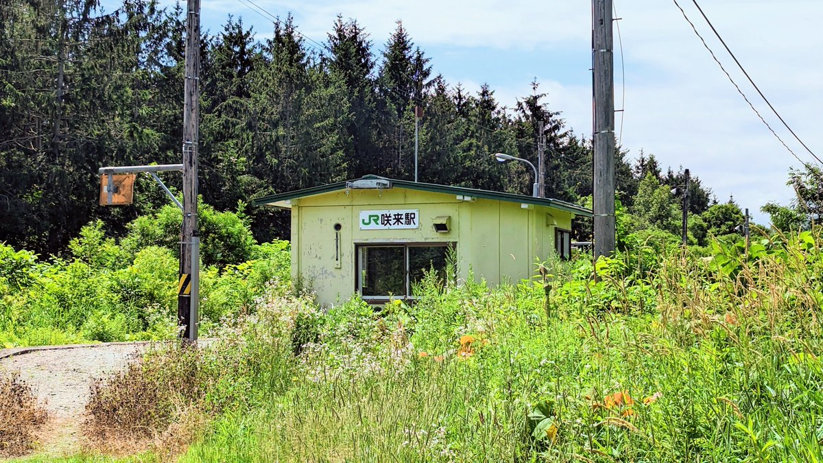marimari617's tweet photo. 宗谷本線の咲来駅に行きました
夏の訪問は初めてです
自然あふれる駅ですので緑に囲まれる風景は想像以上のものがありました

「咲来」が「夏の通り道」という意味であることを教えていただきました
素敵な情報をありがとうございます！

宗谷本線    咲来駅    2026.7.24 https://t.co/8Ut3EWZJEu