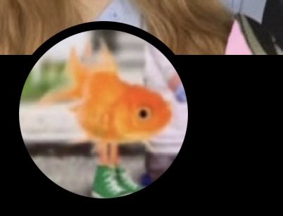 yvespinkswan's tweet photo. Just matching with anything https://t.co/jQ9PxAKCCN