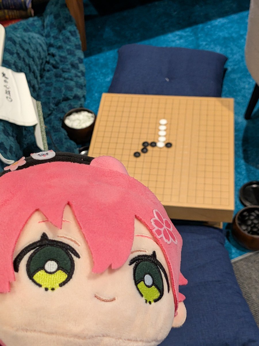 メッシーな🌸💅✨️🐾🩵🩷🏴☠️🎹✨️ tweet media