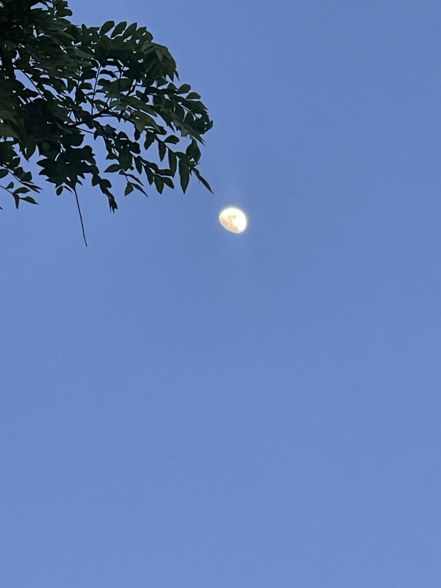 DivannyRuby's tweet photo. Right now 🌔 https://t.co/iokAZYcKXY
