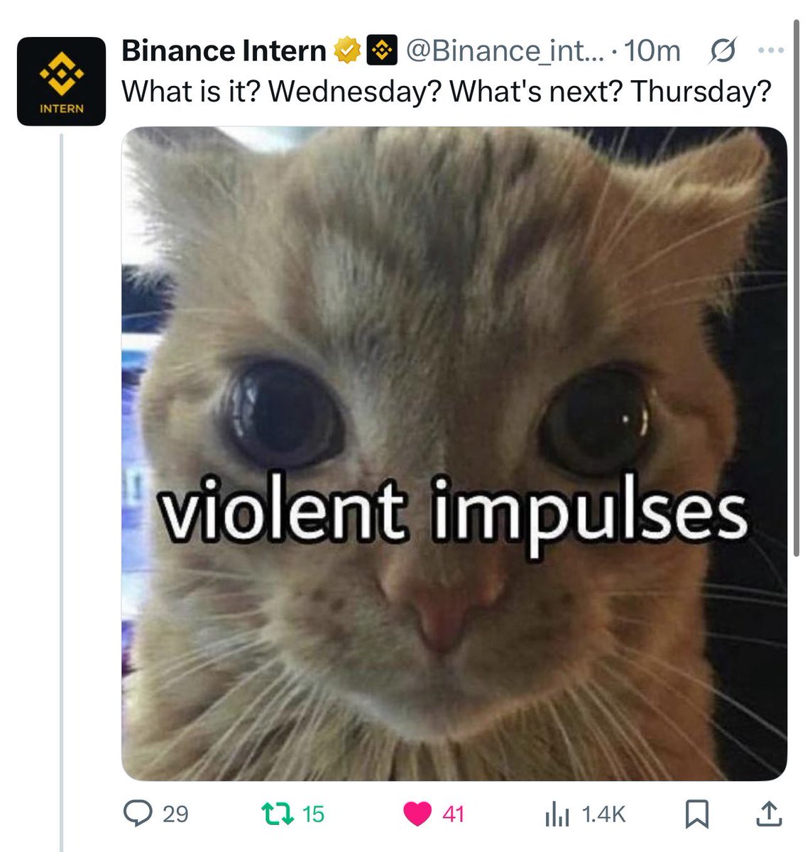 13thsigns's tweet photo. @JakeGagain it’s $Gak 

it’s everywhere 

normie top cat

All the cat meme pages get their content from $gak chat btw https://t.co/lPk8KVugyO