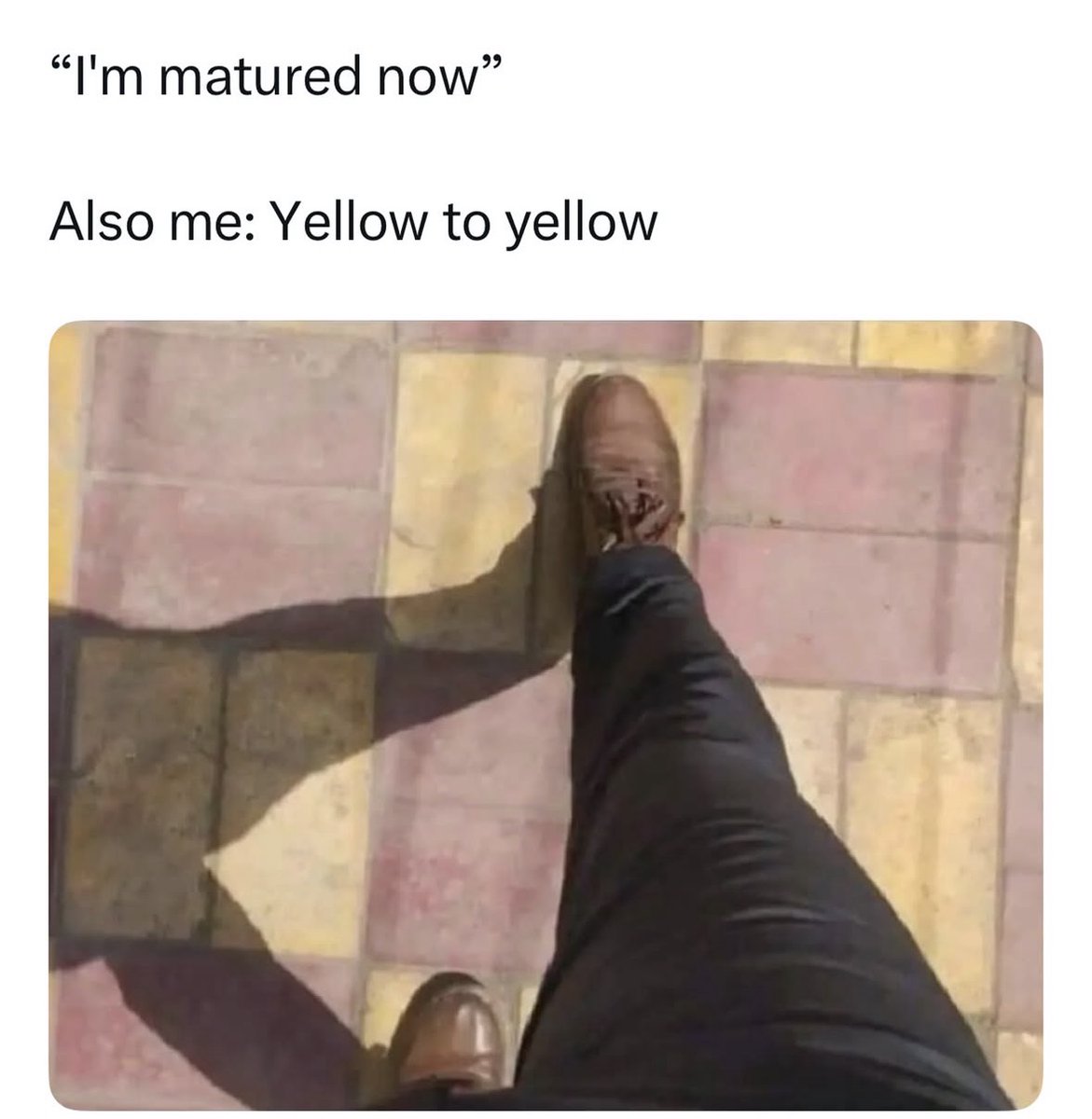 RespectfulMemes's tweet photo. https://t.co/rxt0Ry81kV