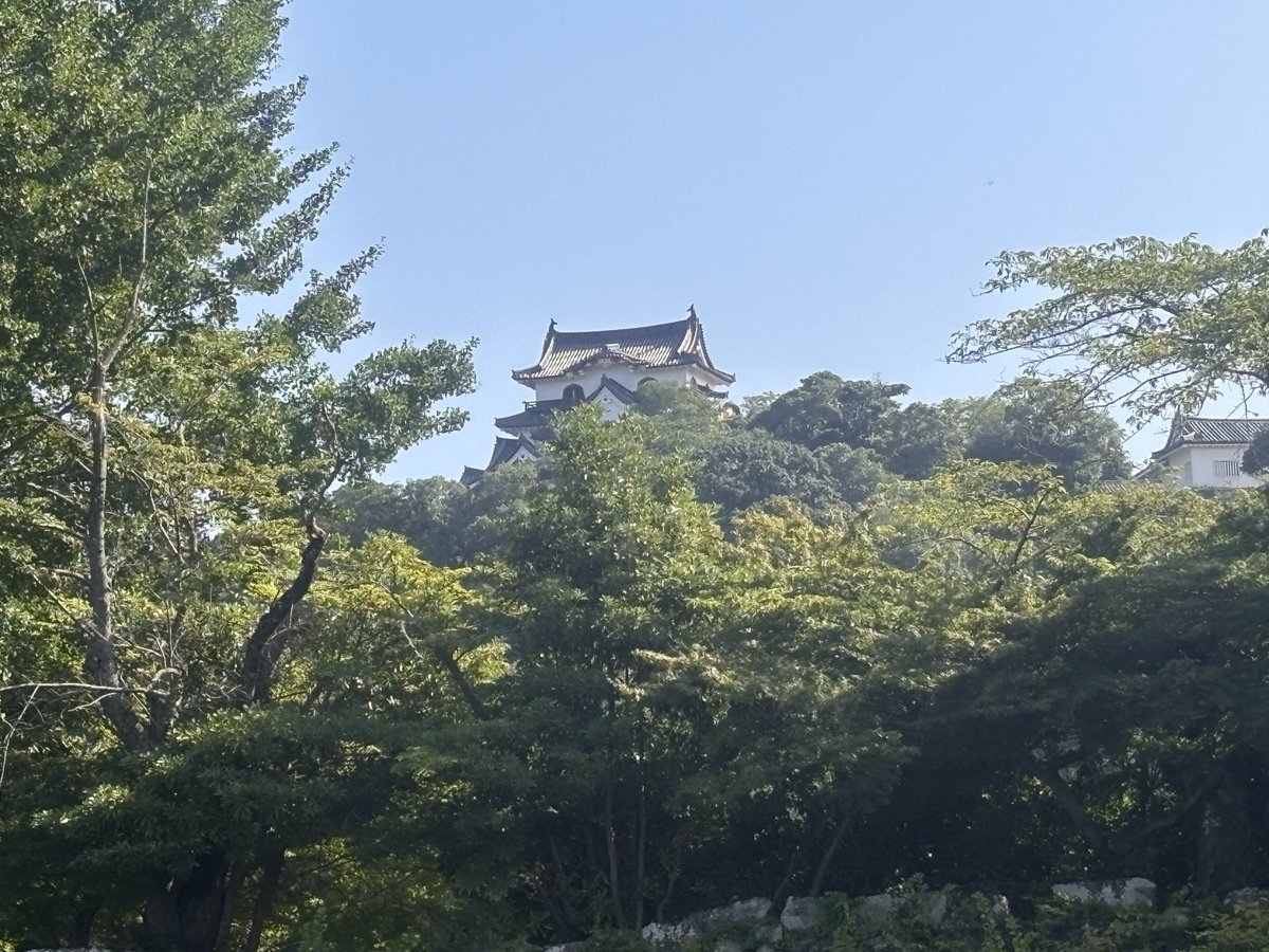 rian1978's tweet photo. 朝の彦根城。

この距離にあって目的地では無いので寄れないというジレンマ https://t.co/q6vJ2DDMfW