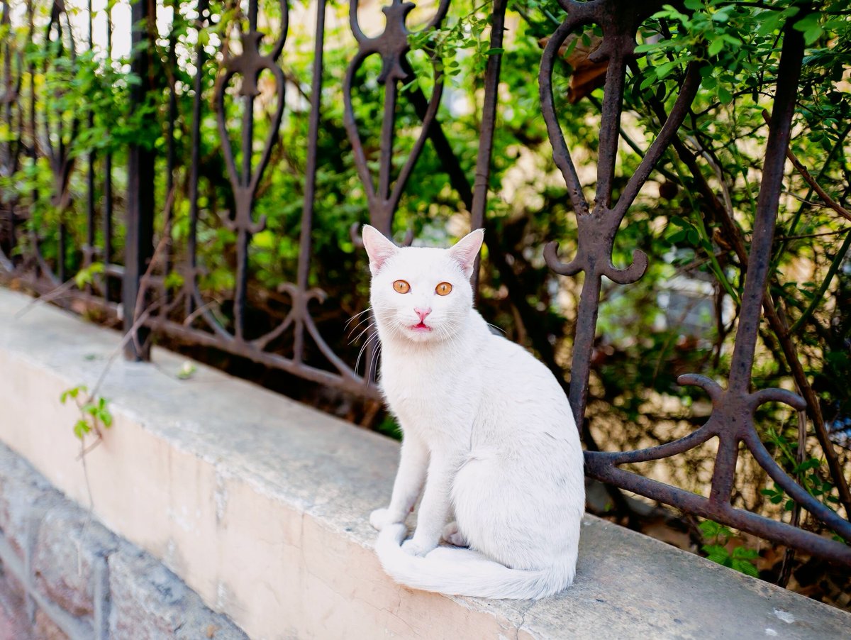 Leejunhooi's tweet photo. Our university photography club is holding a street snapshot activity this weekend! Sign up by Fri to capture the warm moments of the city~ https://t.co/9VTxaetX3Q