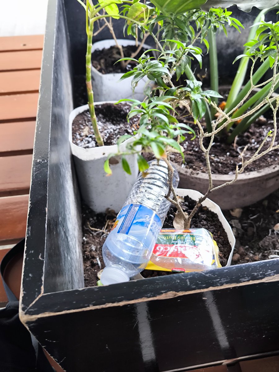 tontongiv's tweet photo. People are disgusting. The bin is literally 2 metres away 😩 https://t.co/rQZqN6G0zY