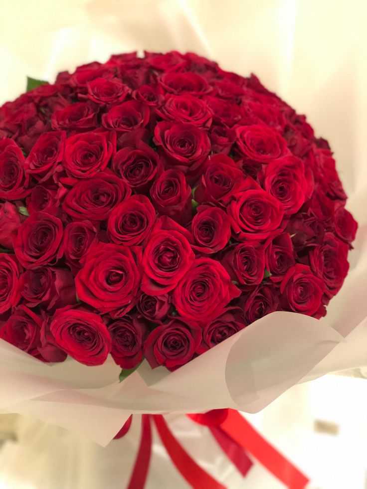 YClient80879's tweet photo. @womanasth https://t.co/lOznKdmeOu