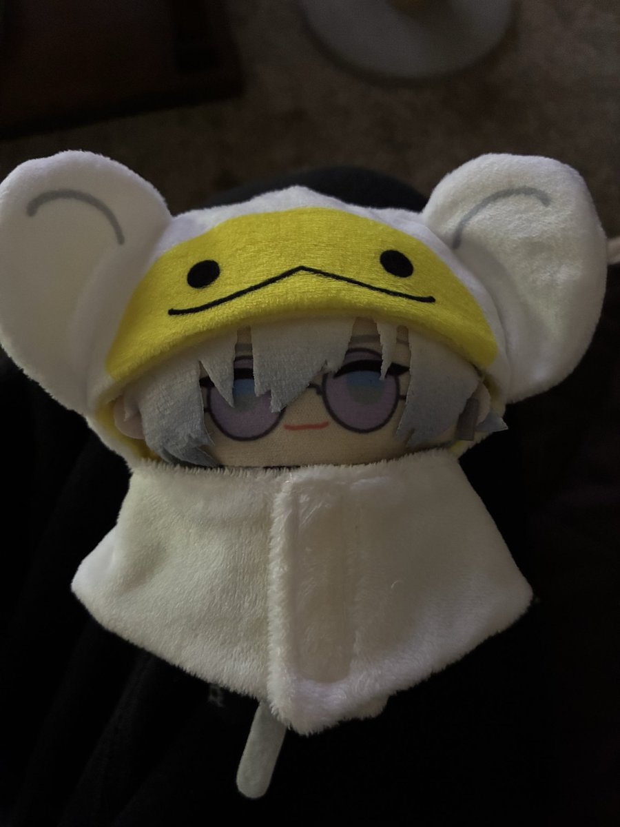 halohoneybee's tweet photo. the ponchos are here!!! im getting cuteness aggression theyre adorable 

#ジールみて #デボネみる https://t.co/L787JoLySz